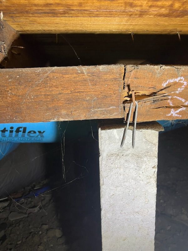 restumping services in Ballarat